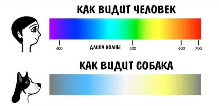 10 мифов, в которые многие по-прежнему верят, хотя наука давно их развенчала