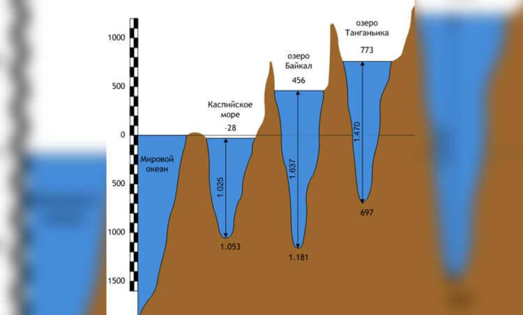 Насколько глубокое озеро Байкал. Сравнение Байкала с другими водоемами земли. Источник изображения: ecohydrobio.ru. Фото.